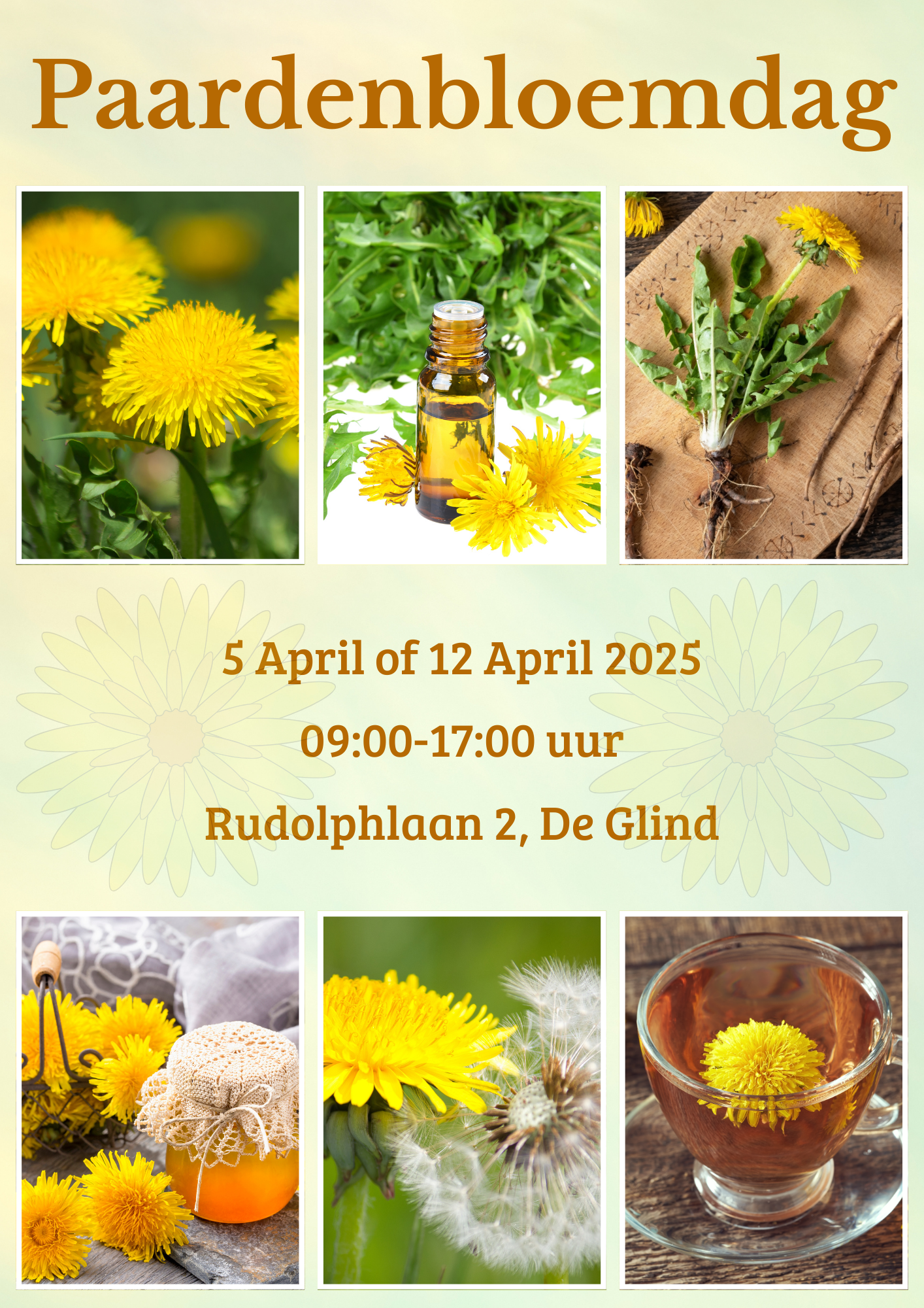 Paardenbloemdagen
