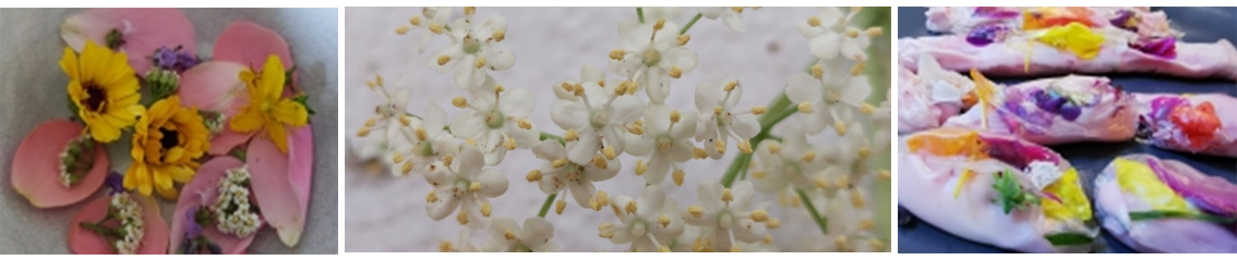 ecolonie openingsfoto, workshops internationaal
