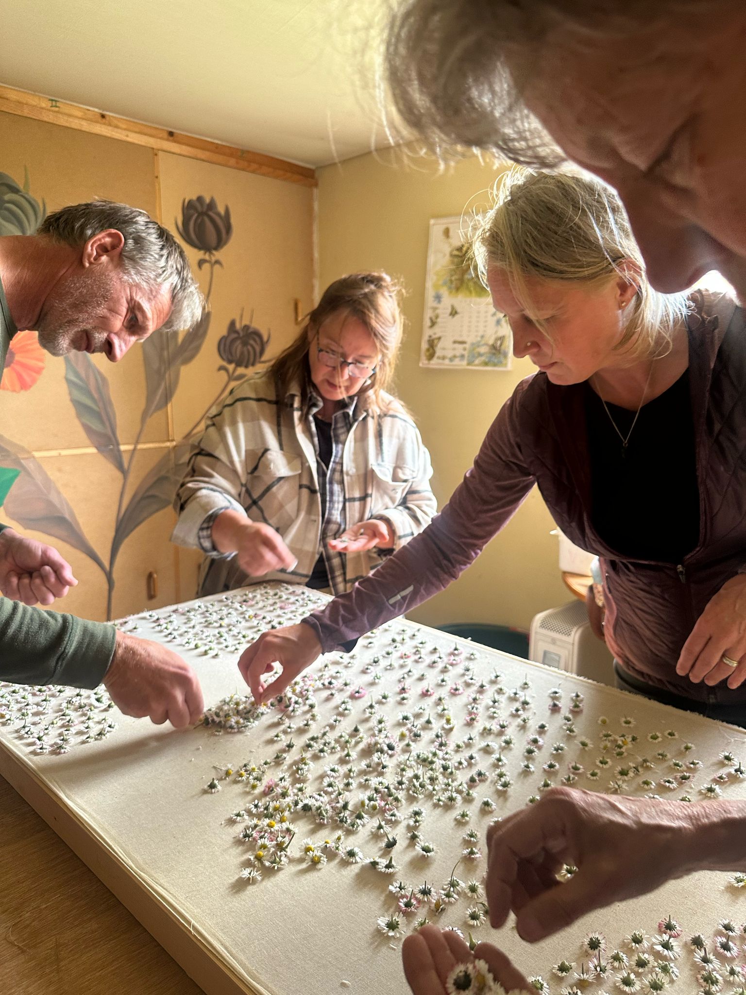 ecolonie, tinka van egten, natuurlijk zelf doen