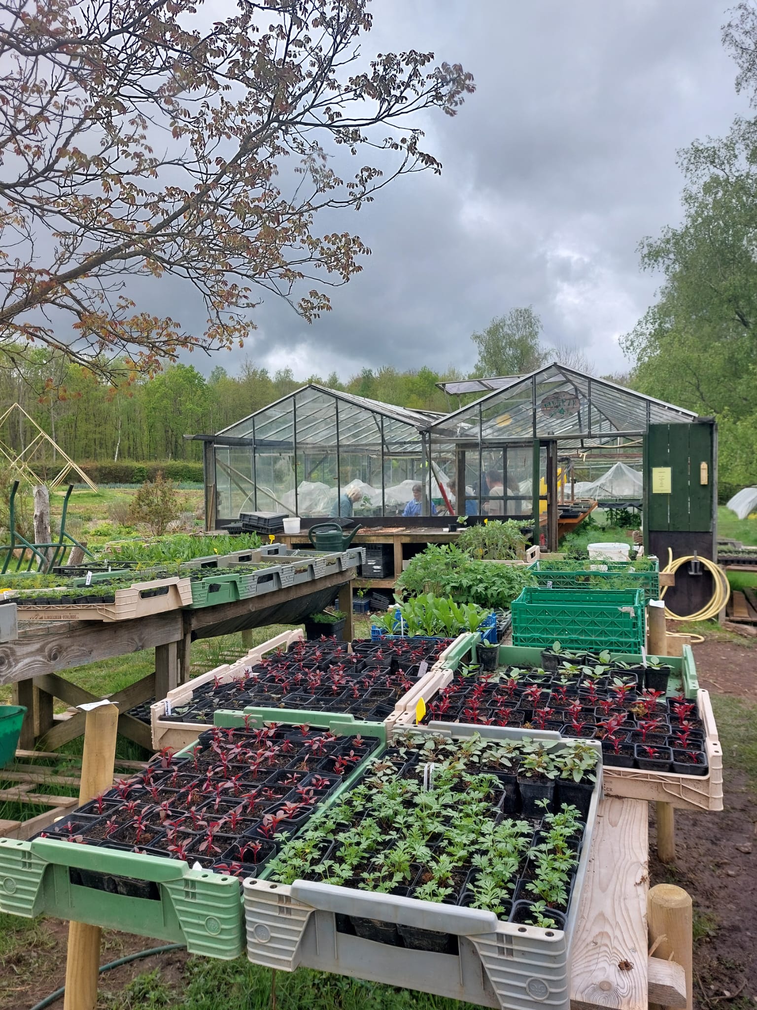ecolonie, tinka van egten, natuurlijk zelf doen